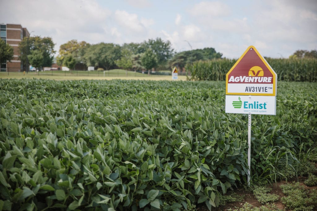 AgVenture | Seed Company | Profit Plot | Johnston, Iowa | Corteva Agriscience | Enlist E3 Soybeans