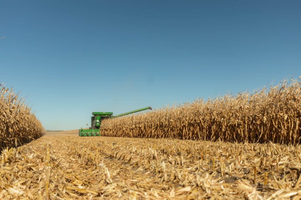 Set the Stage for Success in 2025 with the Best Yields & Tactics in 2024