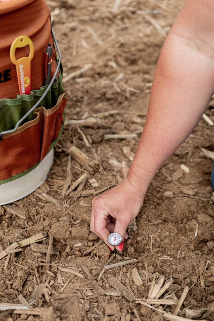 The Right Time to Plant Corn