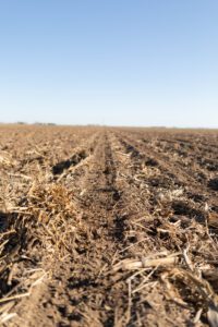 Planning For Pre-Emergent Herbicides for Corn and Soybeans