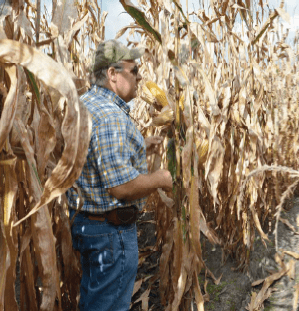 East Coast Seed | AgVenture Regional Seed Company | Earl Passwaters | Mark Davis