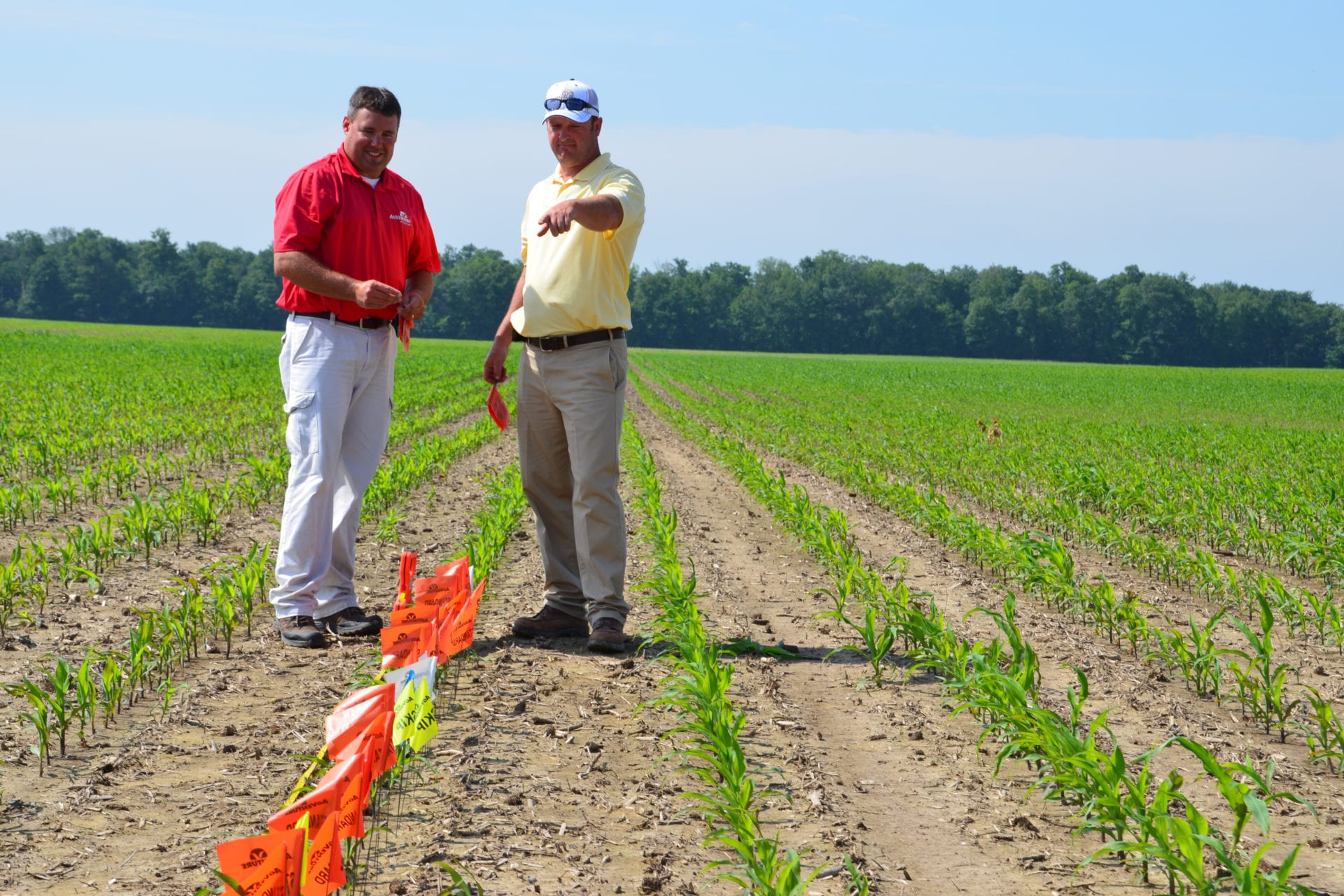 farmers discussing crop yield in field