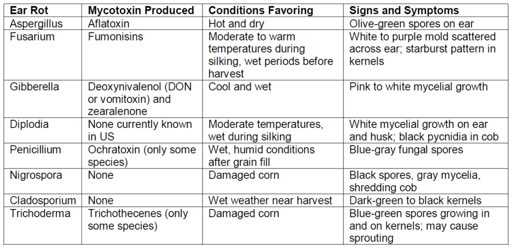 Use this table to assist in identification of ear rots