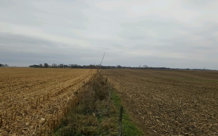 Preparing for an Exceptional 2025 Crop